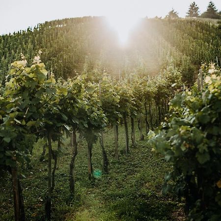 Weingut Meurer Lägenhet Reil Exteriör bild