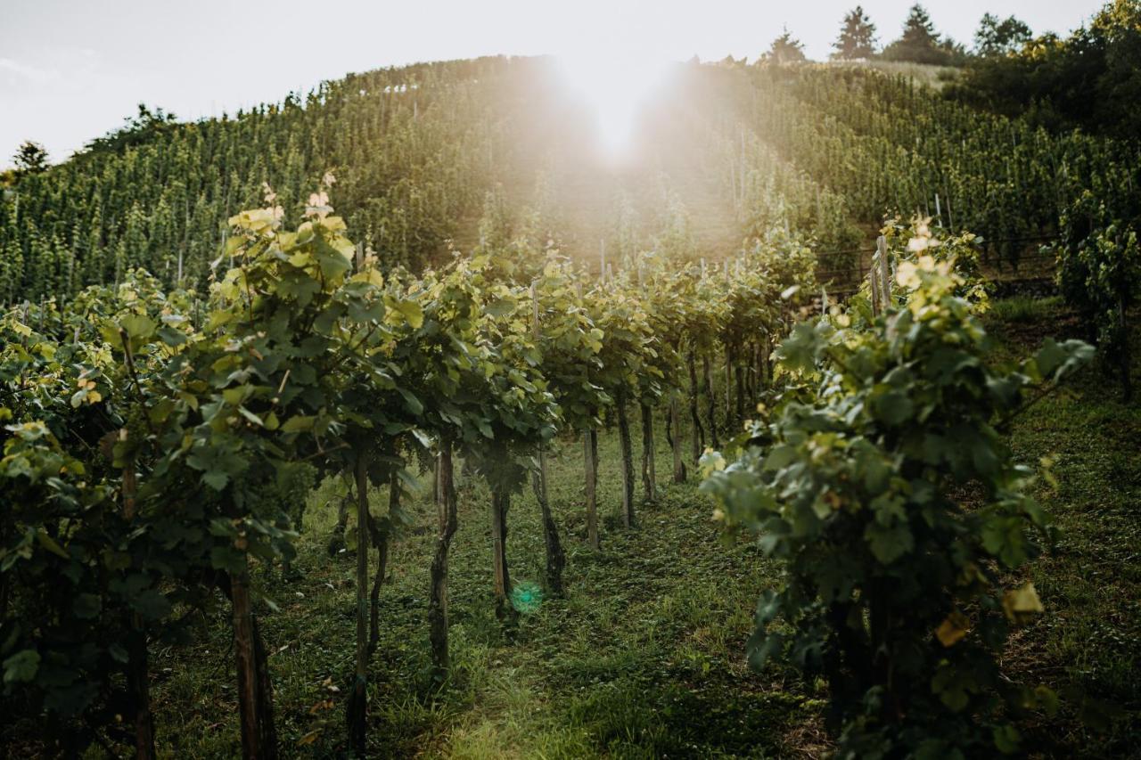 Weingut Meurer Lägenhet Reil Exteriör bild